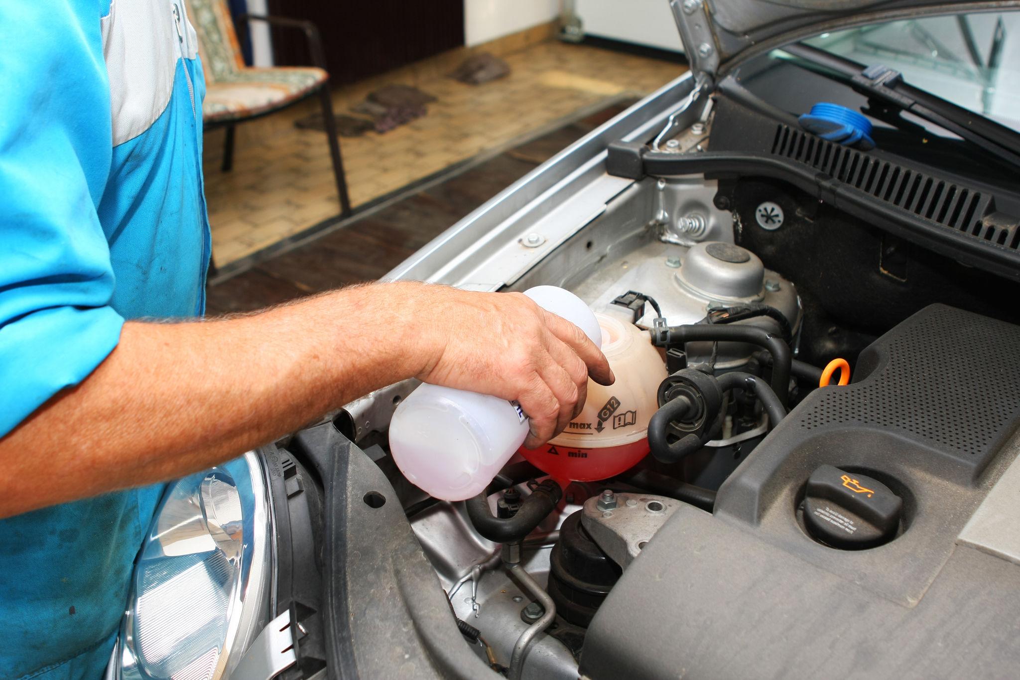 Engine fluids and tune-up service