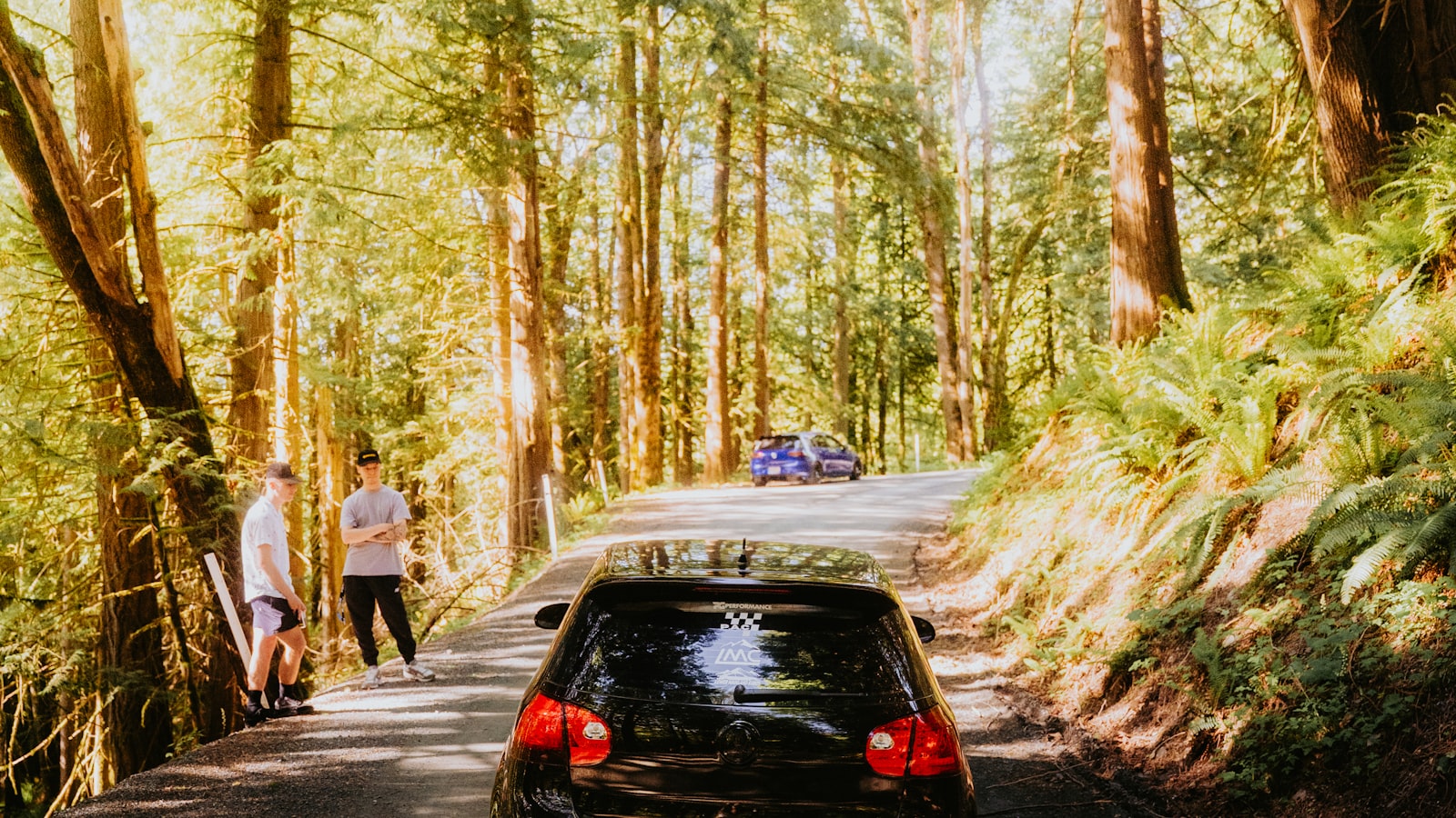 Cars on a sun-dappled New Hampshire forest road, ready for summer car maintenance and a road trip